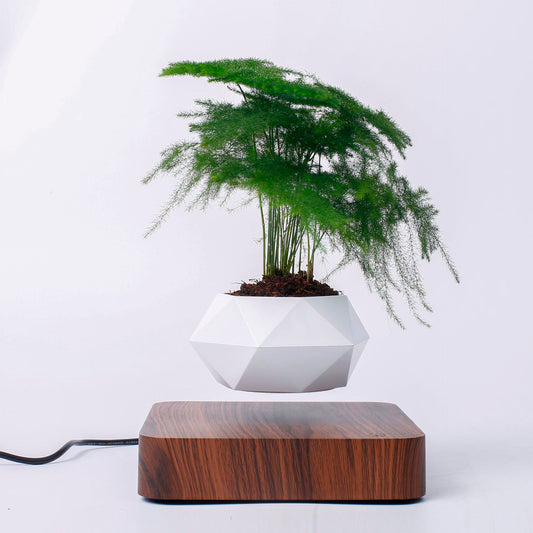 Vaso para planta com levitação magnética e rotação de 360º 2 Rede Canan