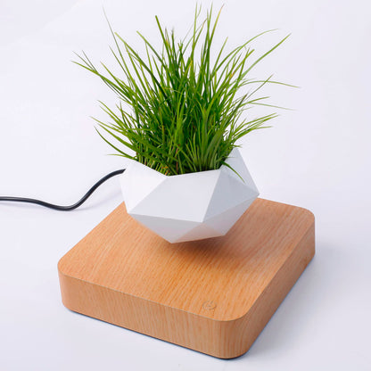Vaso para planta com levitação magnética e rotação de 360º 2 Rede Canan