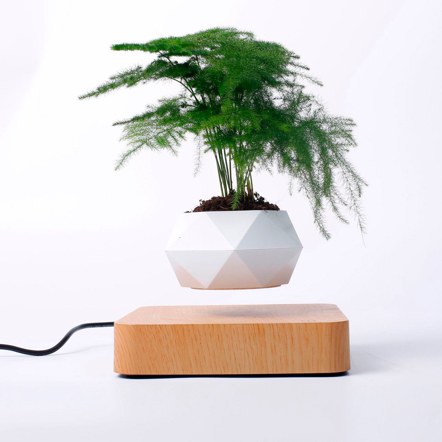 Vaso para planta com levitação magnética e rotação de 360º 2 Rede Canan