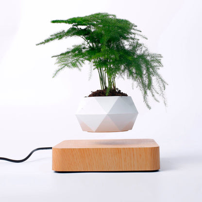 Vaso para planta com levitação magnética e rotação de 360º 2 Rede Canan
