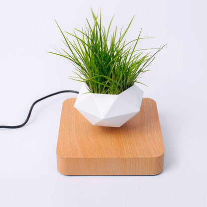 Vaso para planta com levitação magnética e rotação de 360º 2 Rede Canan