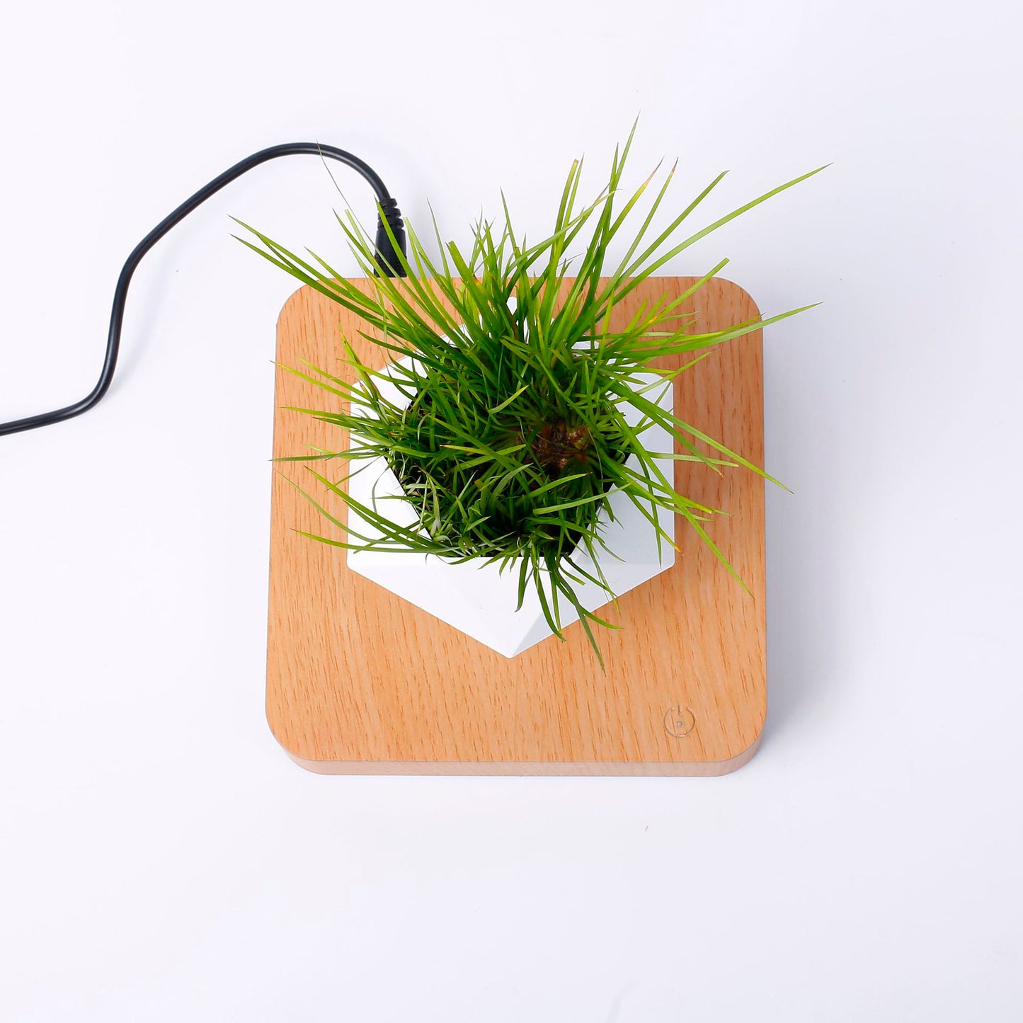 Vaso para planta com levitação magnética e rotação de 360º 2 Rede Canan