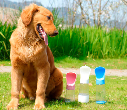 Garrafa com dispenser de água para pets Rede Canan