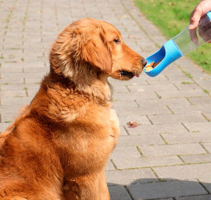 Garrafa com dispenser de água para pets Rede Canan