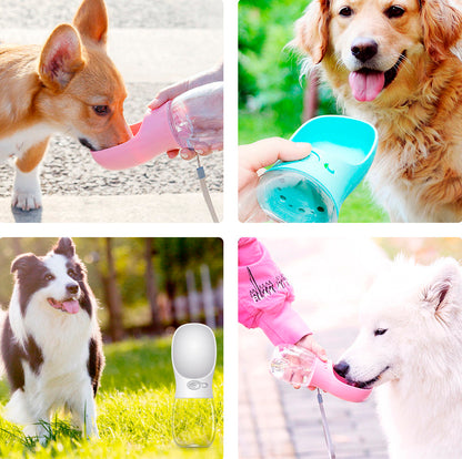 Garrafa com dispenser de água para pets Rede Canan