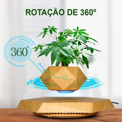 Vaso para planta com levitação magnética e rotação de 360º Rede Canan