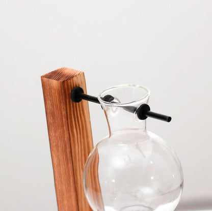 Vaso de vidro sofisticado para planta 6 Rede Canan