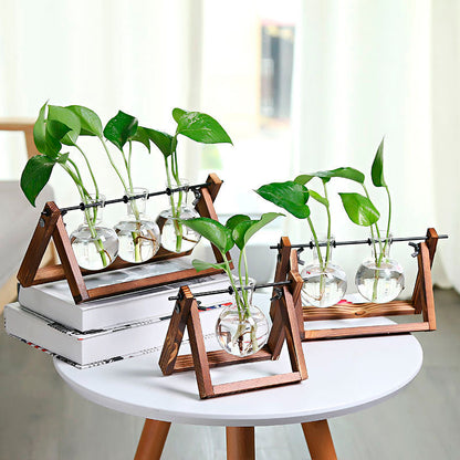 Vaso de vidro sofisticado para planta 5 Rede Canan