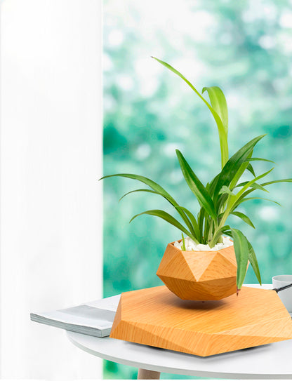 Vaso para planta com levitação magnética e rotação de 360º Rede Canan