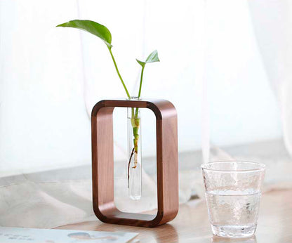 Vaso de vidro sofisticado para planta 1 Rede Canan